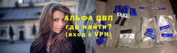ГАЛЛЮЦИНОГЕННЫЕ ГРИБЫ Белокуриха
