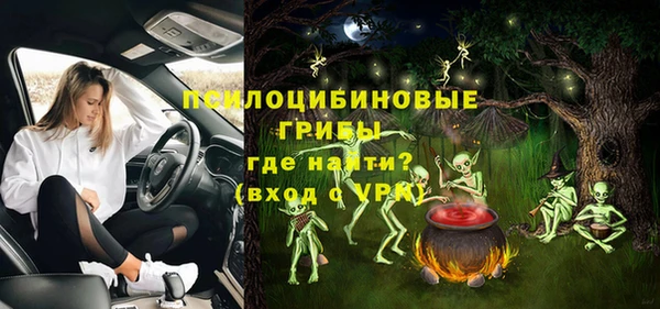 спайс Богданович