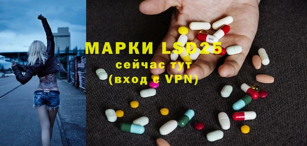 спайс Богданович
