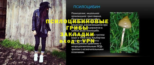 спайс Богданович