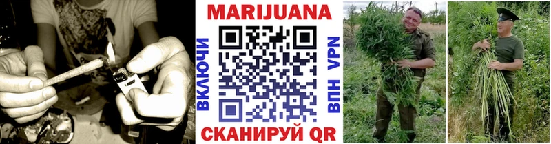 сколько стоит  Красноярск  Канабис планчик 